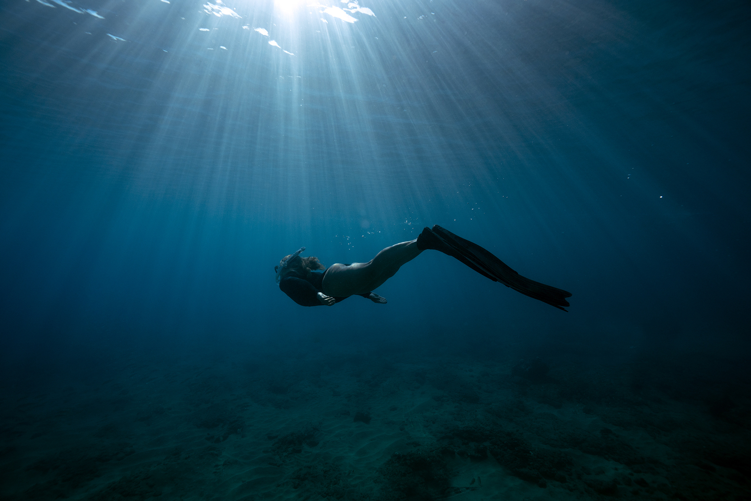 Maui Underwater Photographer, Maui Underwater Photography, Hawaii